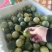 广西钦蜜9号百香果电商果全规格（包售后）