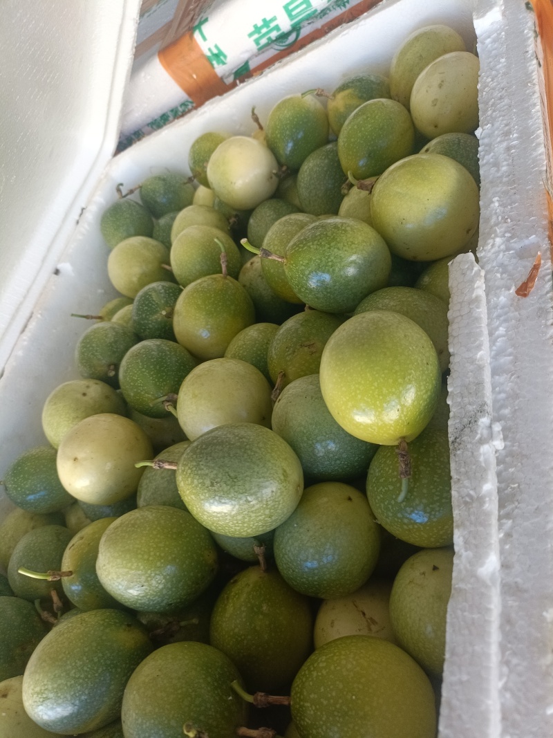 广西钦蜜9号百香果电商果全规格（包售后）