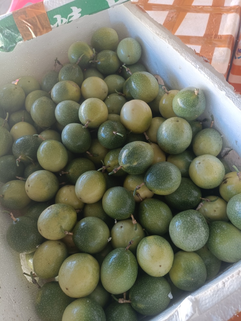 广西钦蜜9号百香果电商果全规格（包售后）