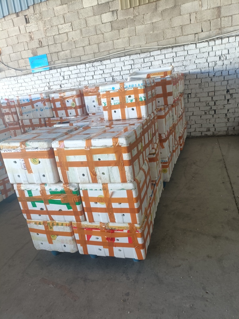广西钦蜜9号百香果电商果全规格（包售后）