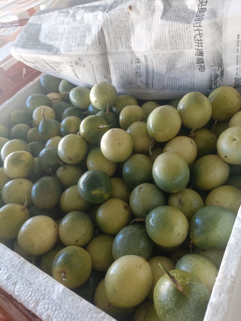 广西钦蜜9号百香果电商果全规格（包售后）