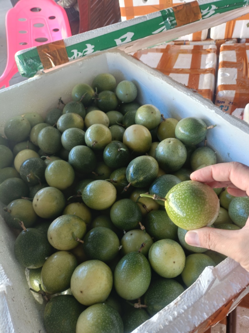 广西钦蜜9号百香果电商果全规格（包售后）
