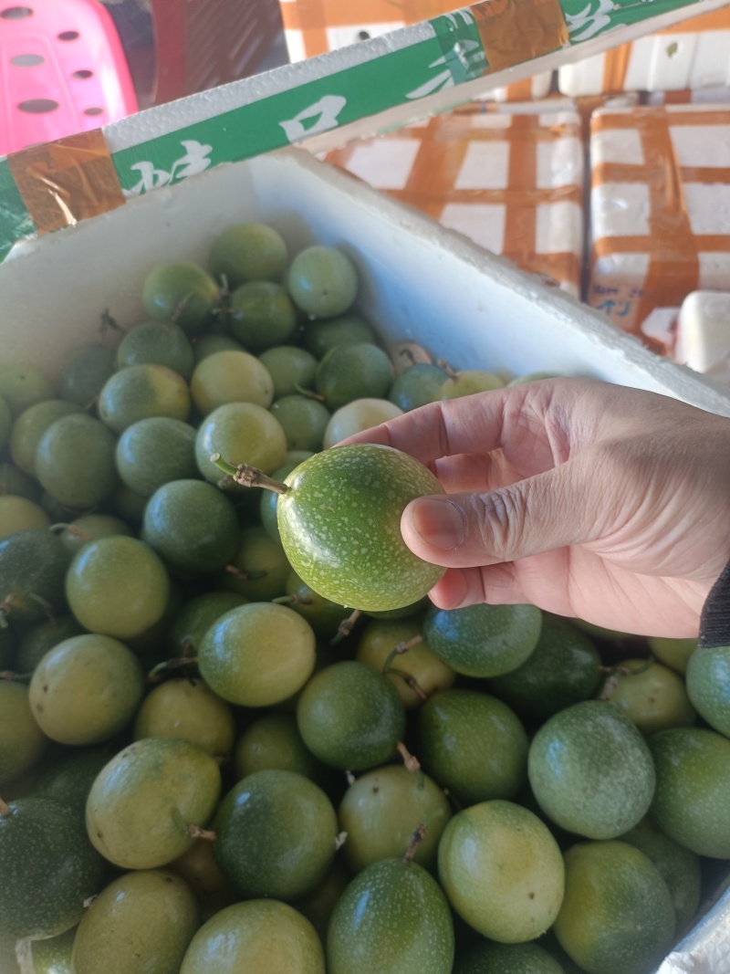 广西钦蜜9号百香果电商果全规格（包售后）