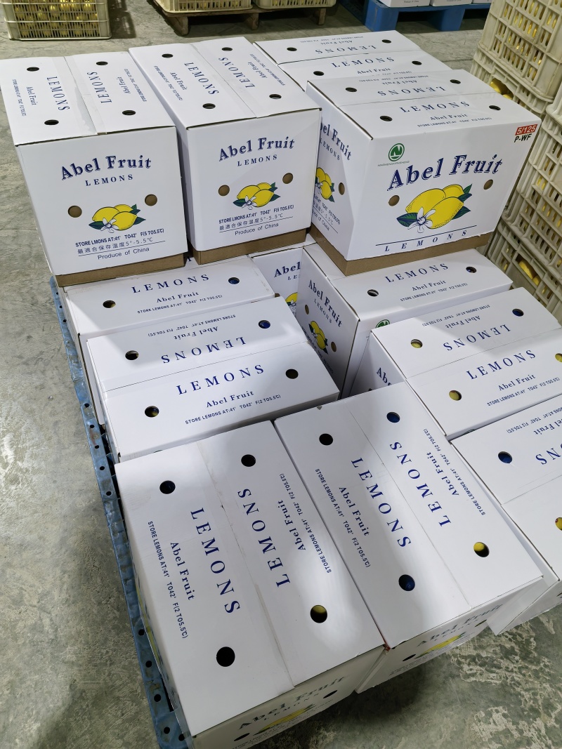 安岳精品柠檬