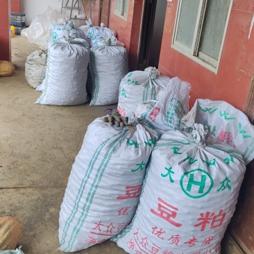 云南薄皮核桃
