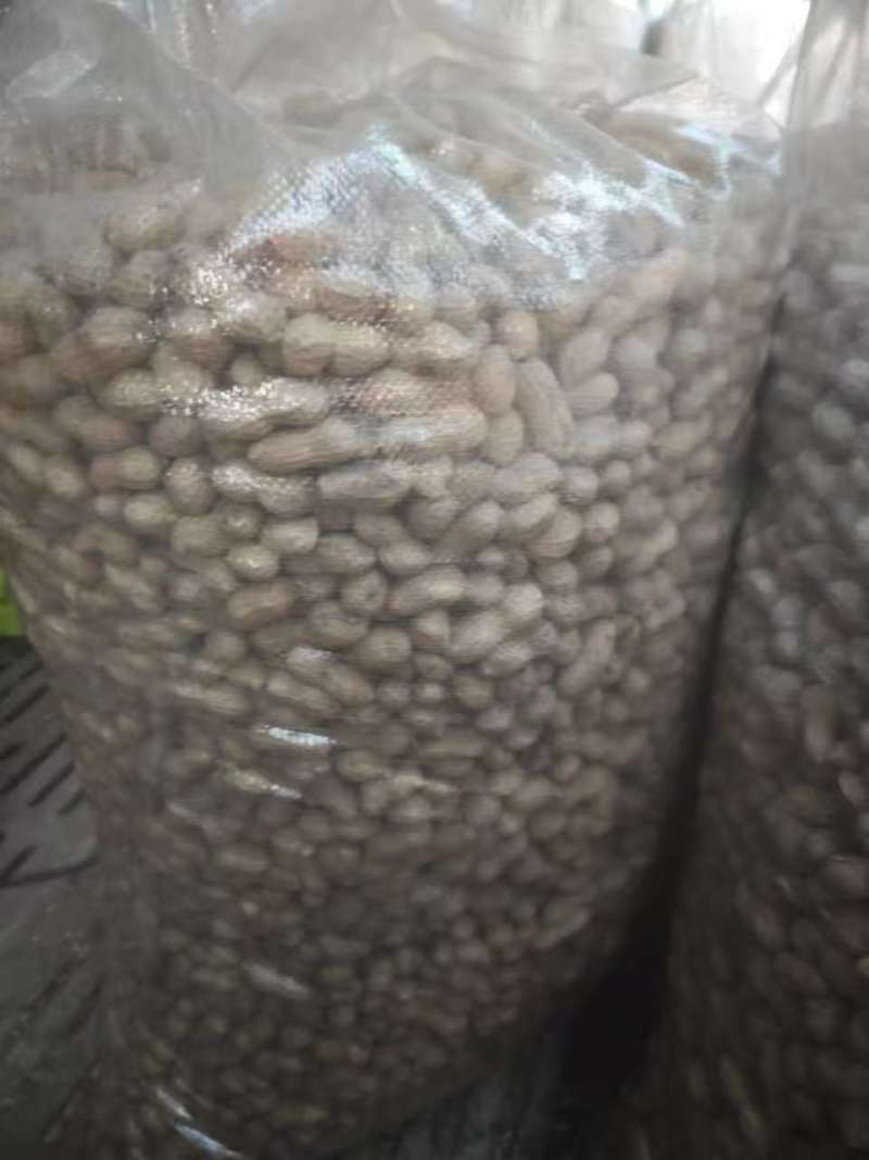 精品花生果，机器精选塞选出皮白子大的花生果，适合炒花生，榨油