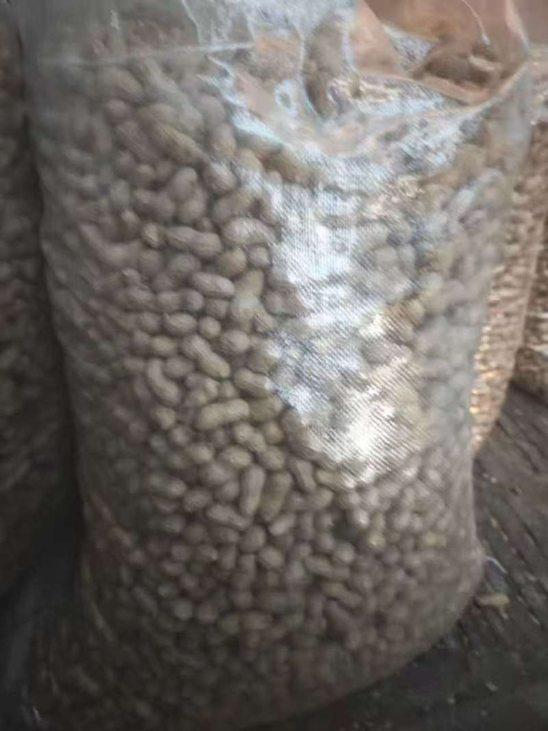 精品花生果，机器精选塞选出皮白子大的花生果，适合炒花生，榨油