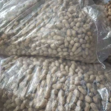 精品花生果，机器精选塞选出皮白子大的花生果，适合炒花生，榨油