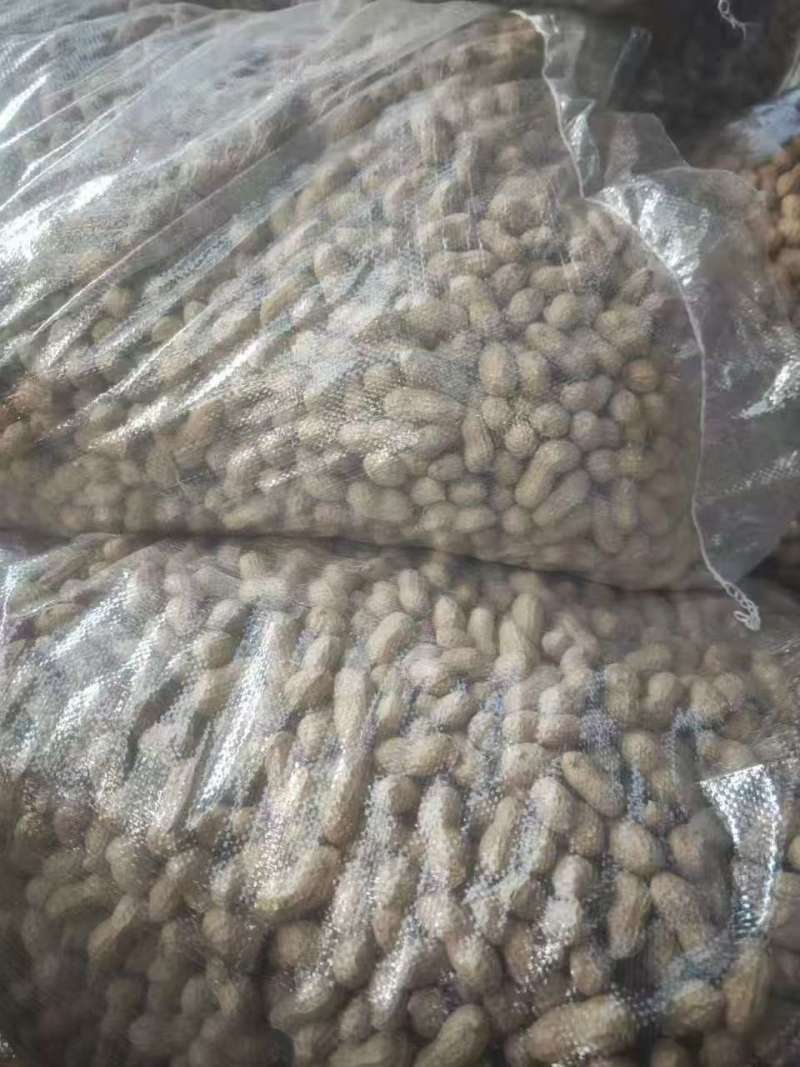 精品花生果，机器精选塞选出皮白子大的花生果，适合炒花生，榨油