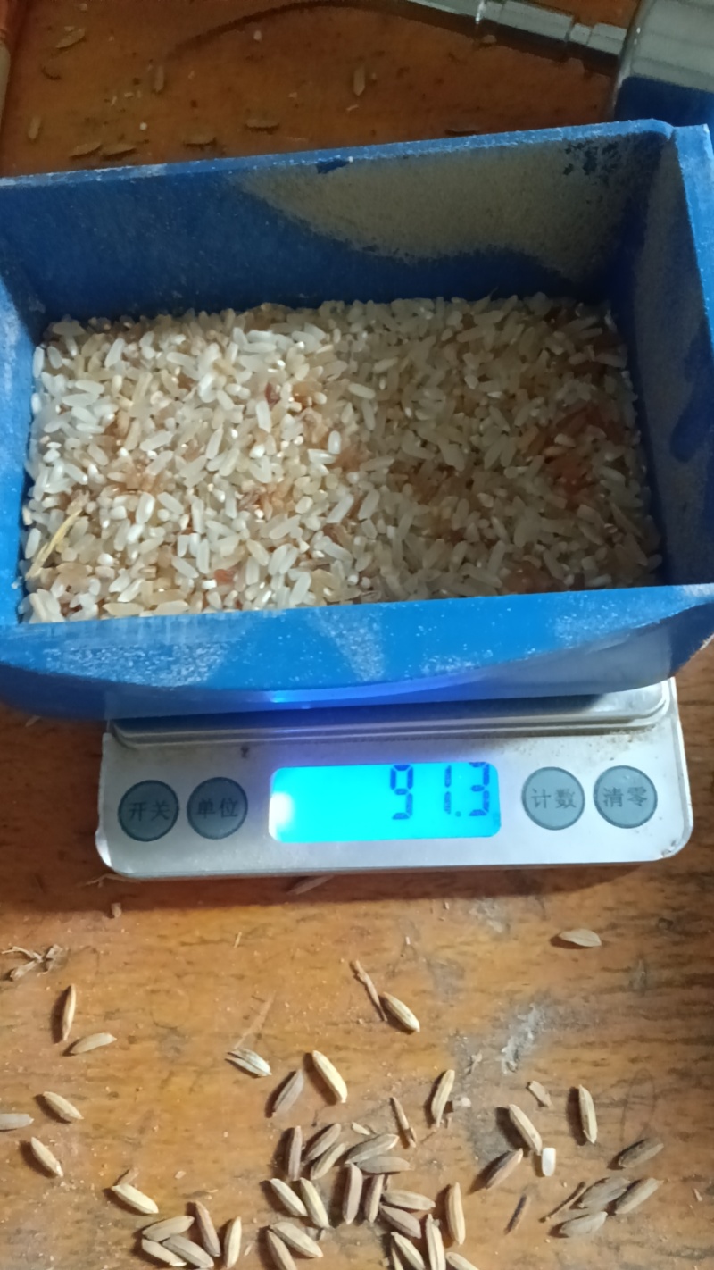 河南稻谷