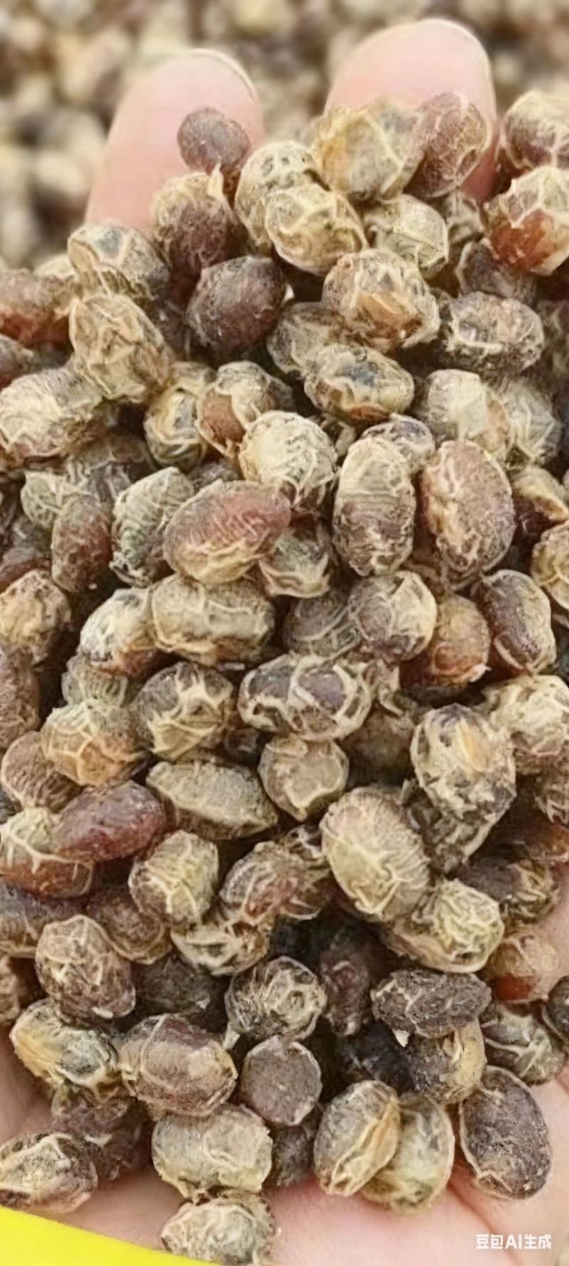 酱豆