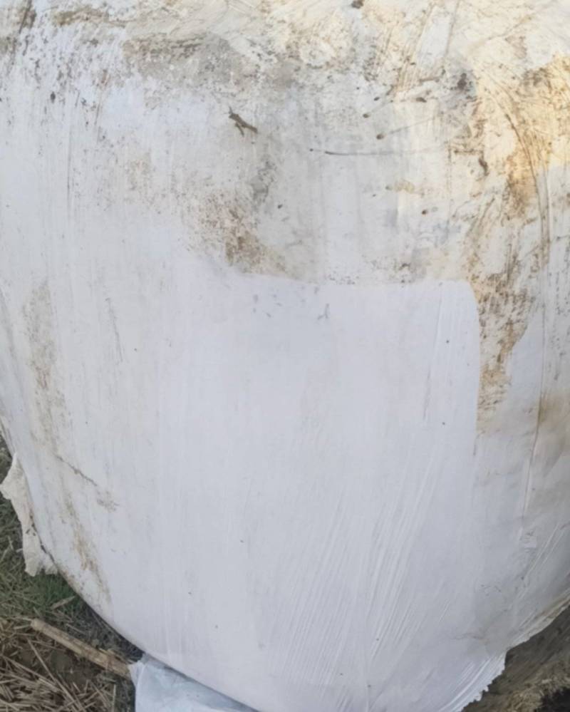 吨包黄储上车1开头的货滴水不加