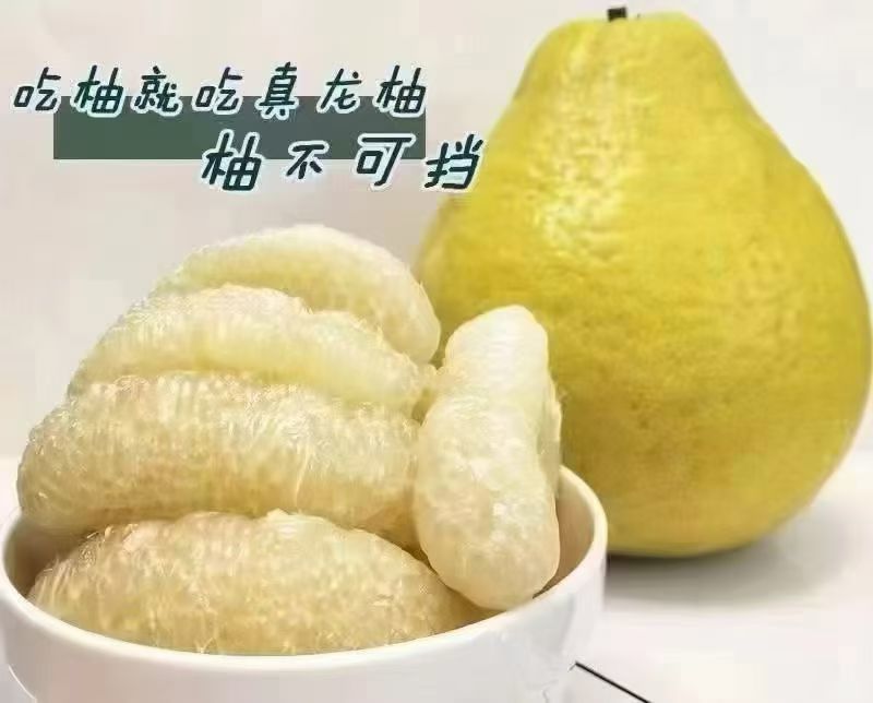 合江真龙柚