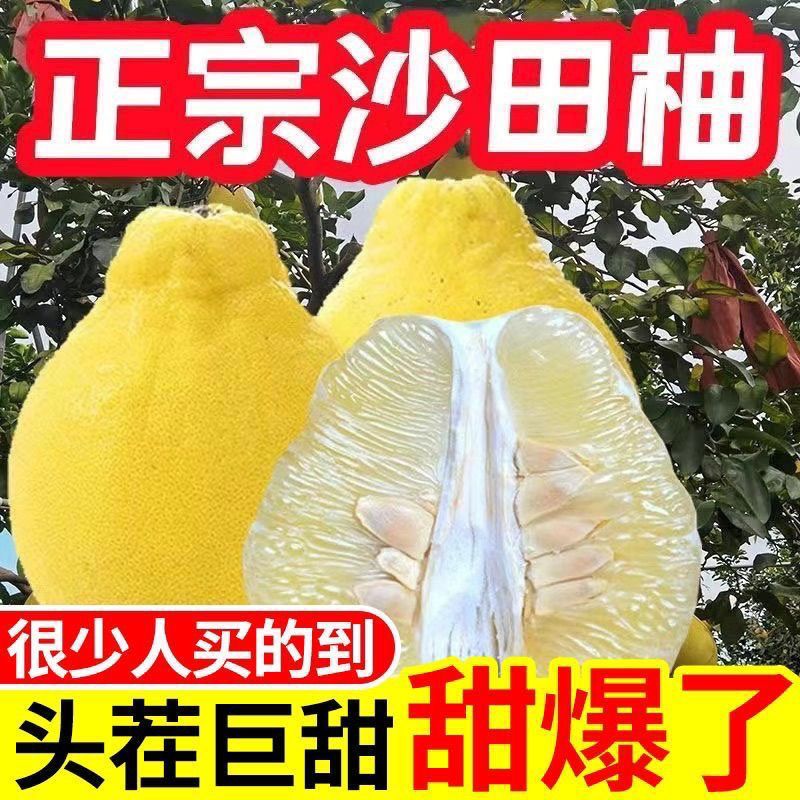 【纯甜无酸】正宗白心沙田柚新鲜柚子批发价护国沙田柚大果非容县