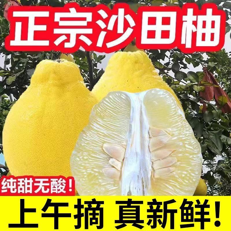 【纯甜无酸】正宗白心沙田柚新鲜柚子批发价护国沙田柚大果非容县