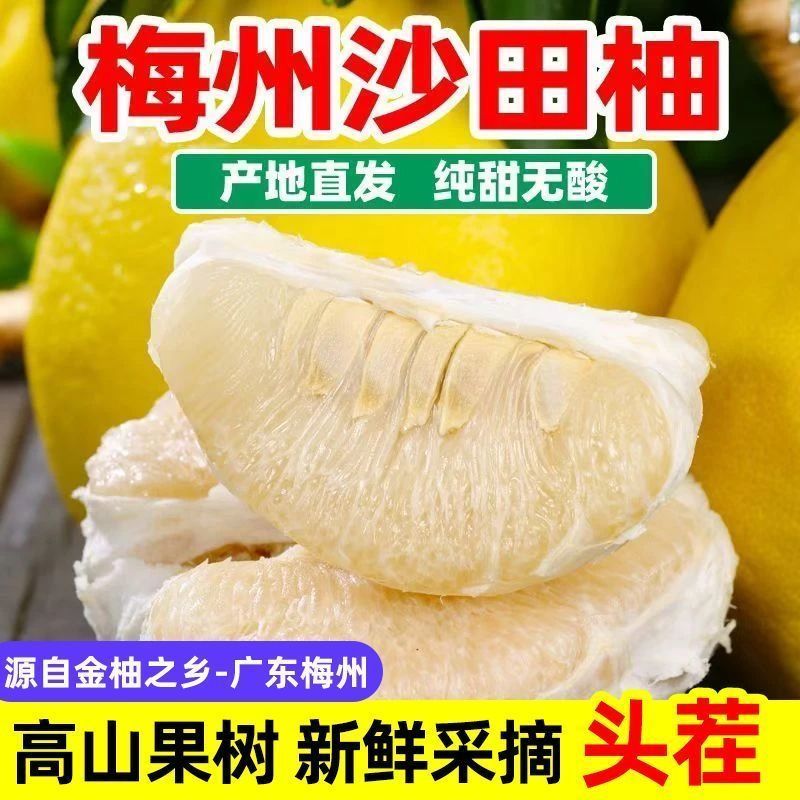 纯甜新鲜现摘正宗梅州沙田柚当季孕妇水果纯甜白心柚子金柚白柚
