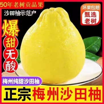 纯甜新鲜现摘正宗梅州沙田柚当季孕妇水果纯甜白心柚子金柚白柚