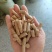 生物质颗粒燃料