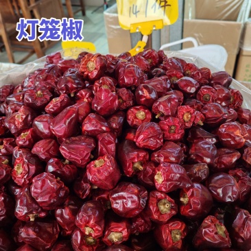 贵州特产灯笼椒