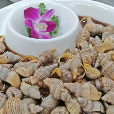 价格合适质量好