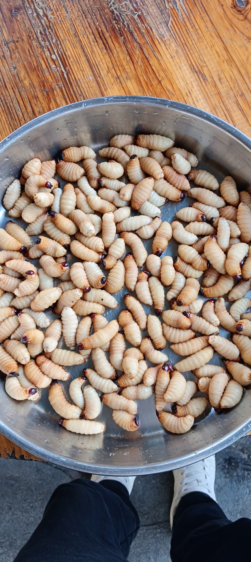 竹虫