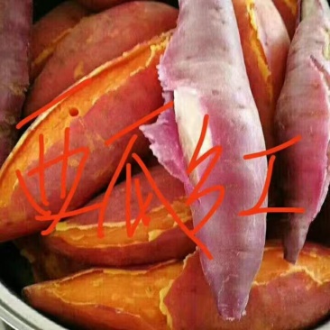 西瓜红