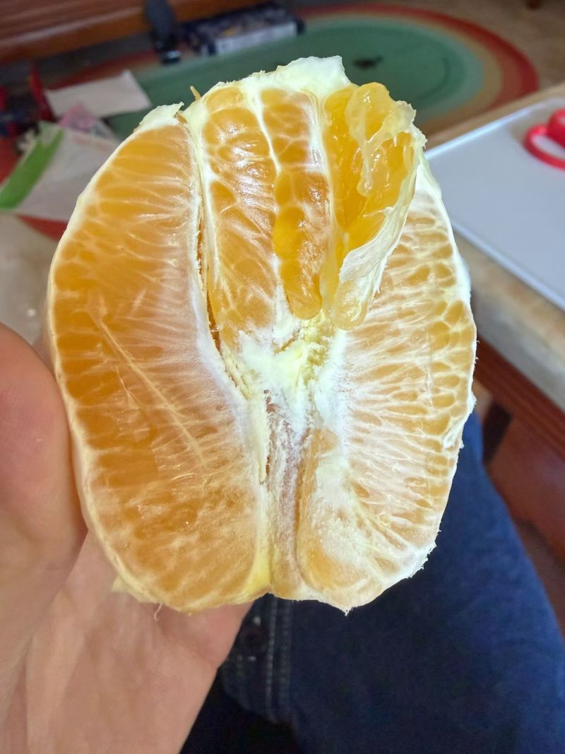 赣南脐橙
