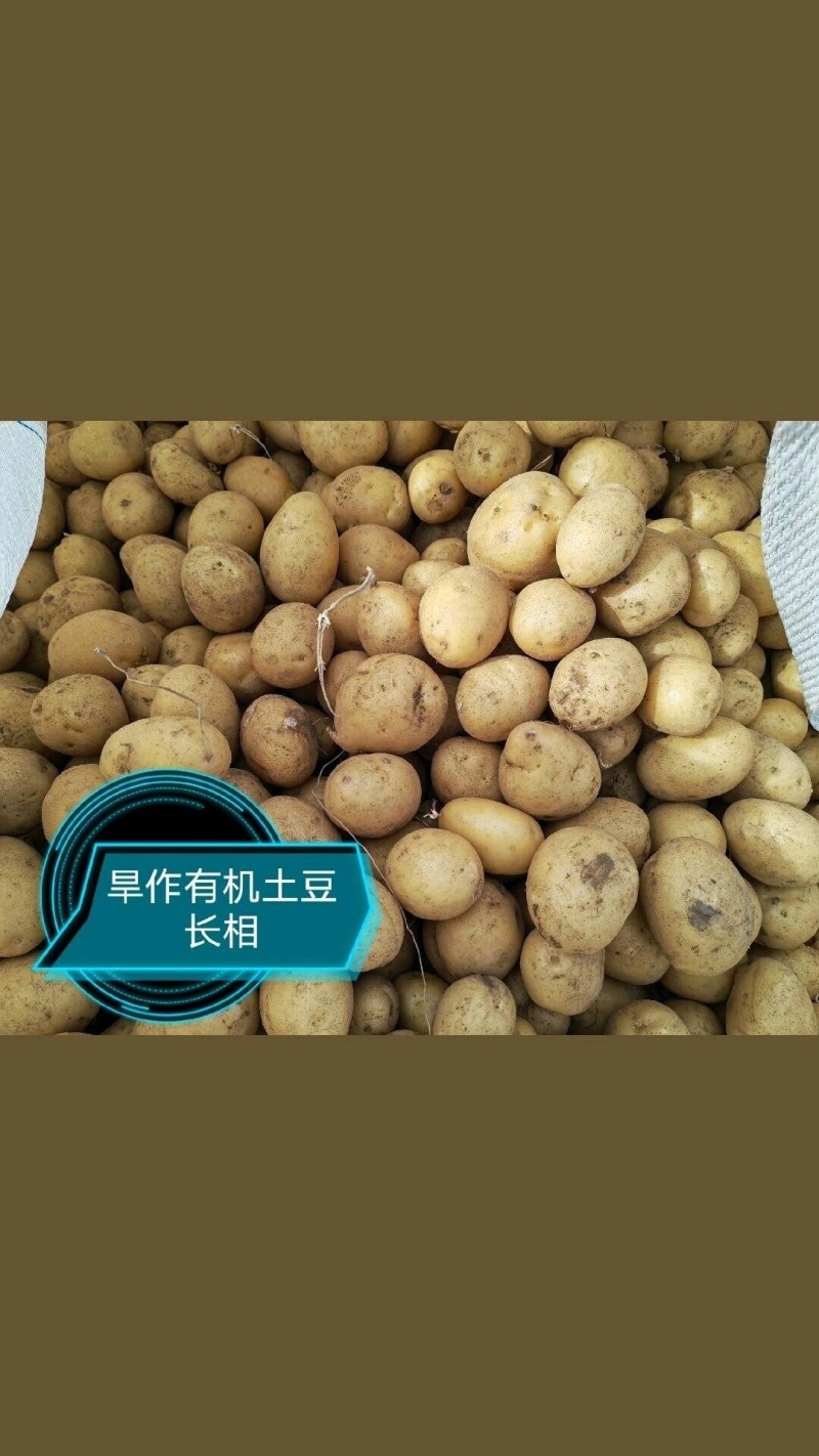 有机土豆、有机胡萝卜