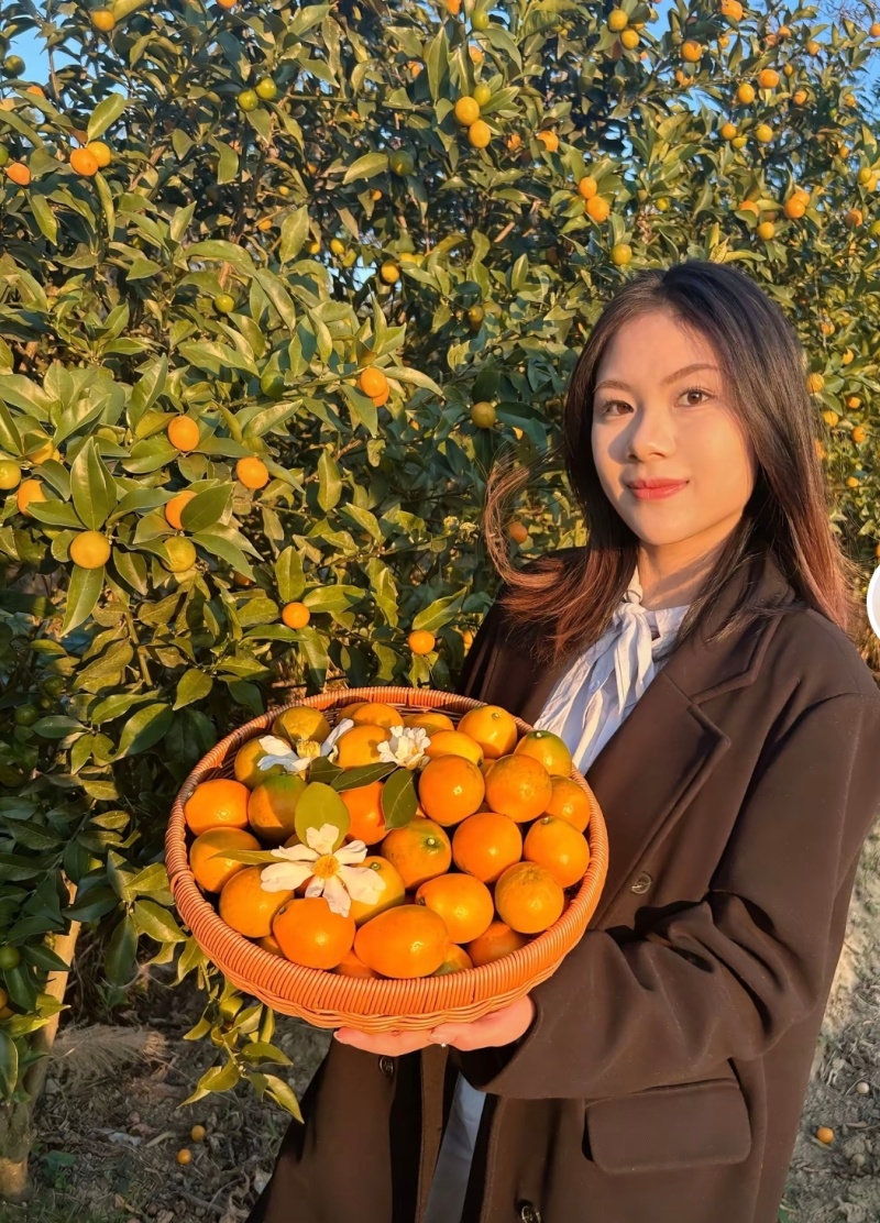 广西脆皮金桔