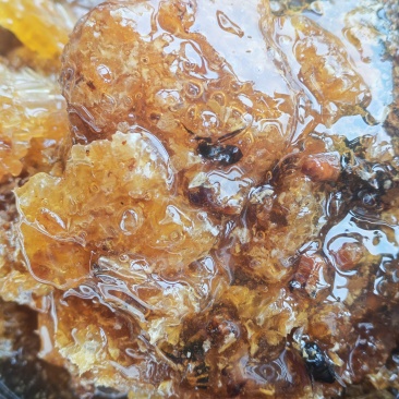 纯野生蜂蜜，百花蜜欢迎来电