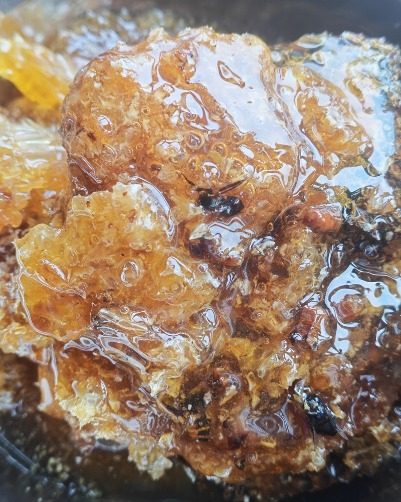 纯野生蜂蜜，百花蜜欢迎来电