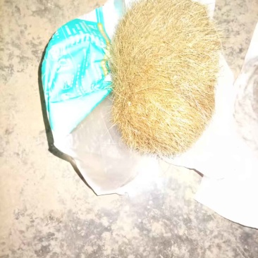 猪宝