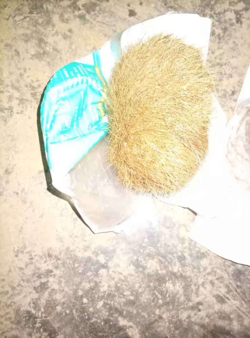 猪宝