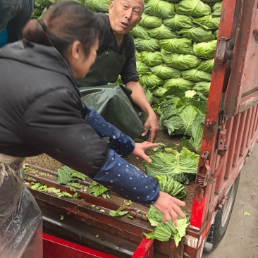 翠白菜