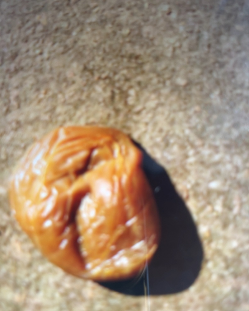鸡宝
