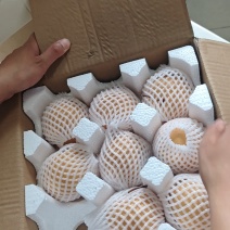 秋月圆黄梨
