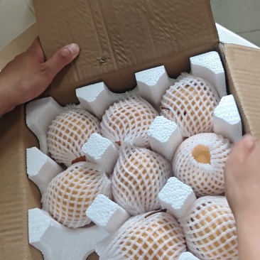 秋月圆黄梨