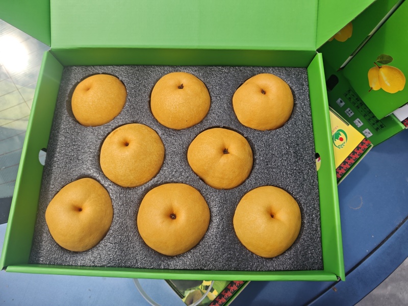 秋月圆黄梨
