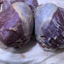 牛霖