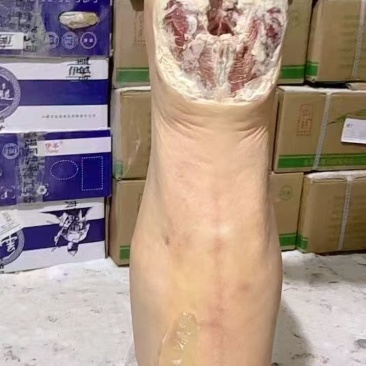 羊腔子