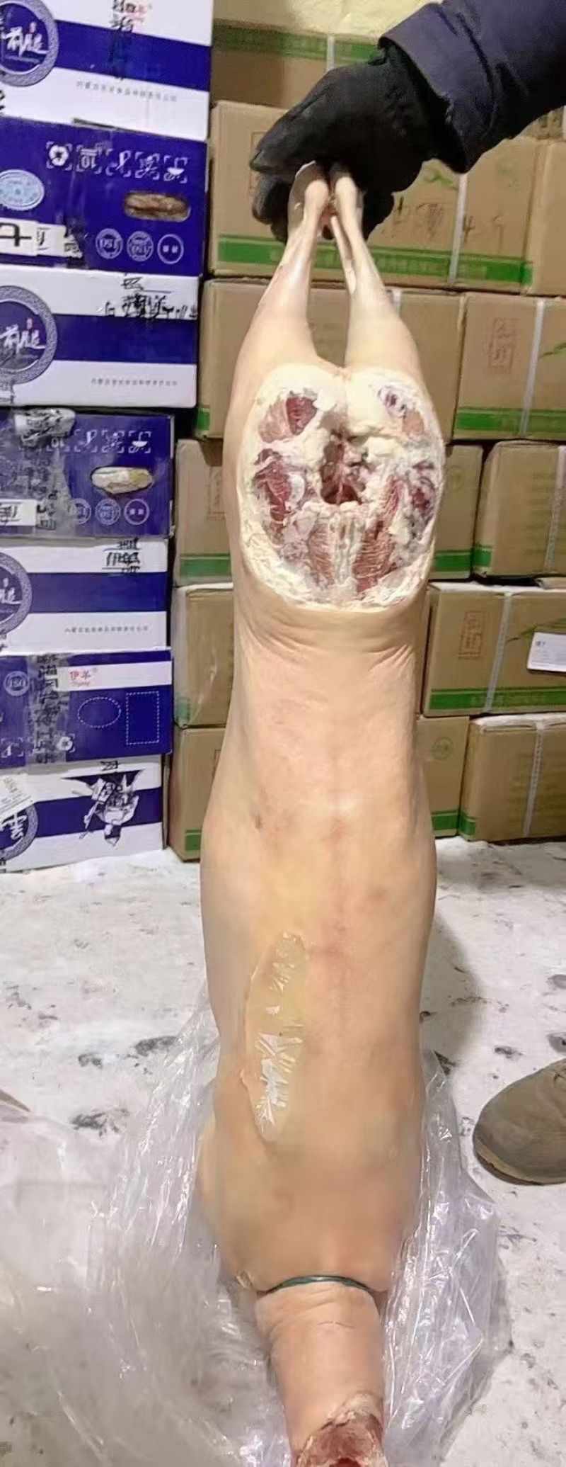 羊腔子