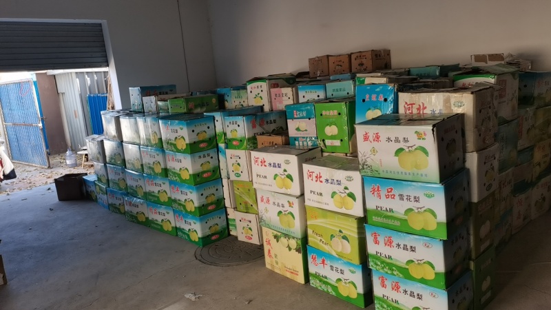 青龙富士国光