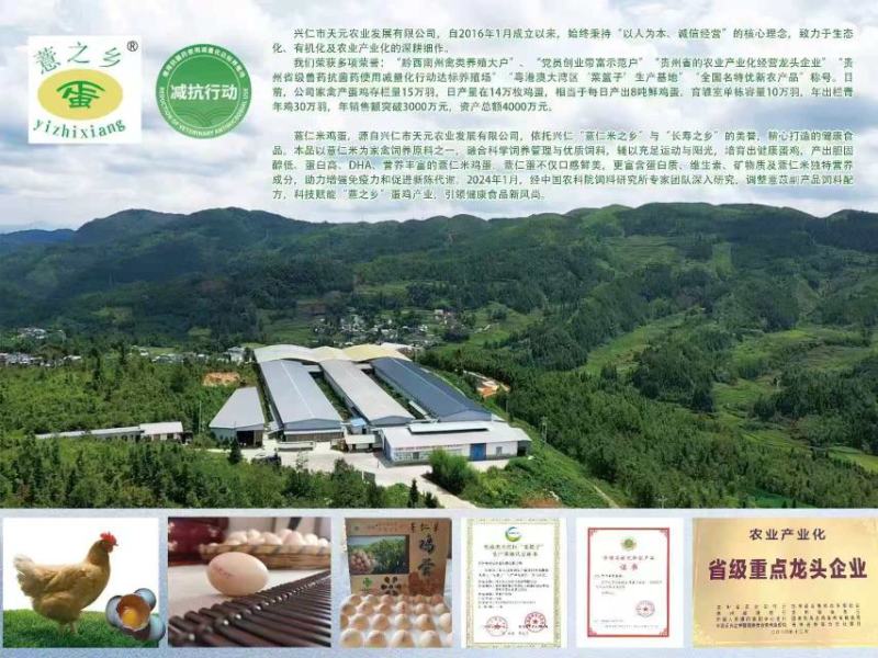 富硒薏仁米鸡蛋