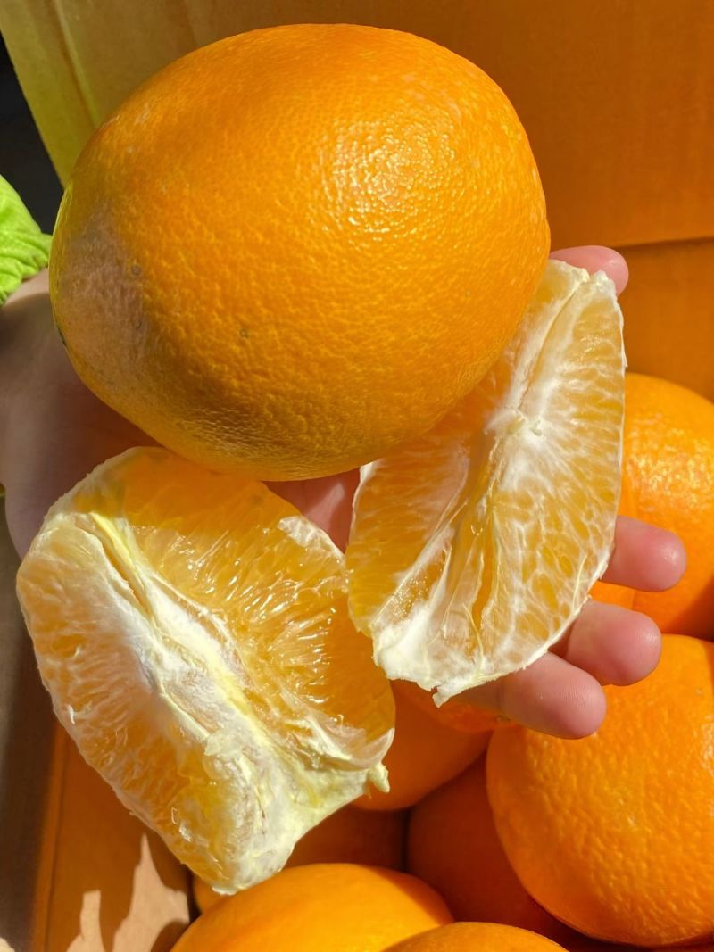 赣南脐橙