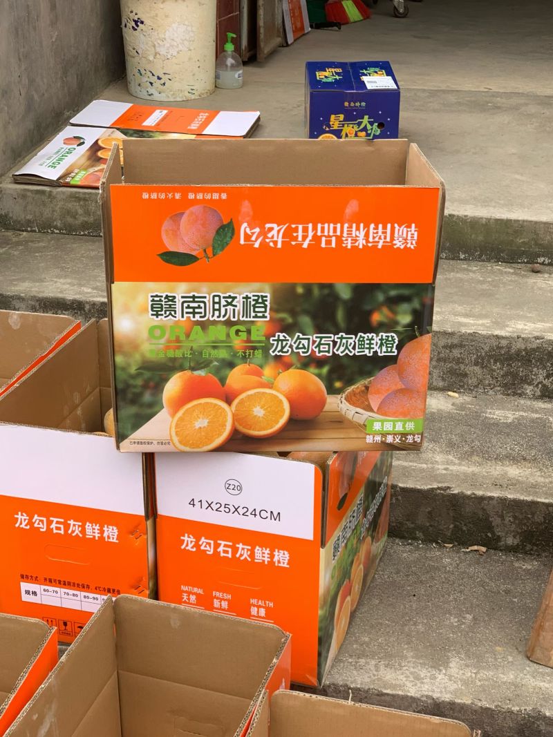 赣南脐橙