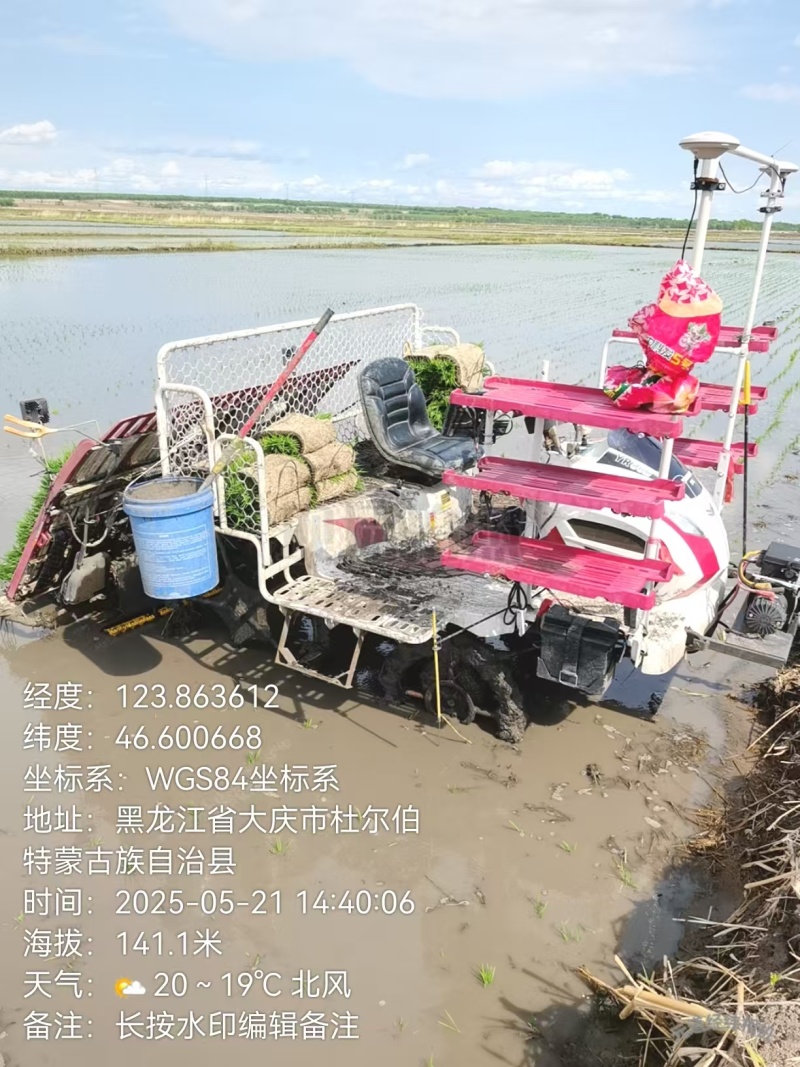 东北大米，嫩江水灌溉，陈旭江湾大米
