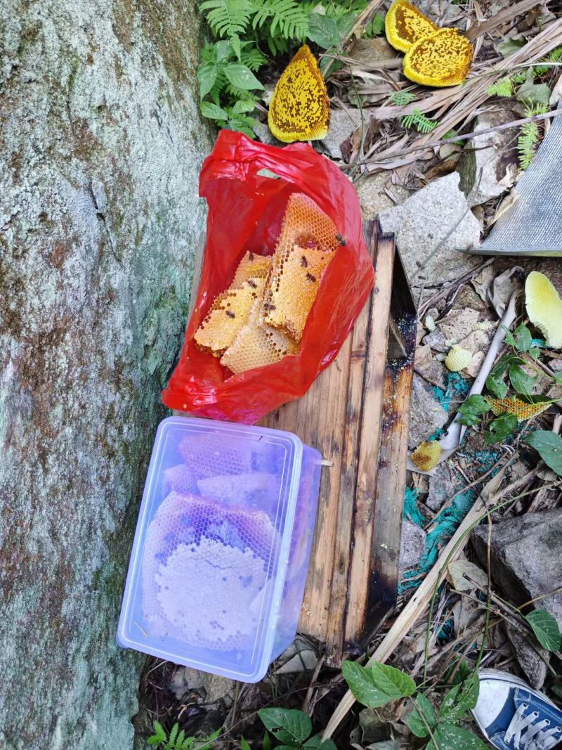 活性酶高营养蜂蜜智慧养蜂监测淀粉酶值超标温水冲