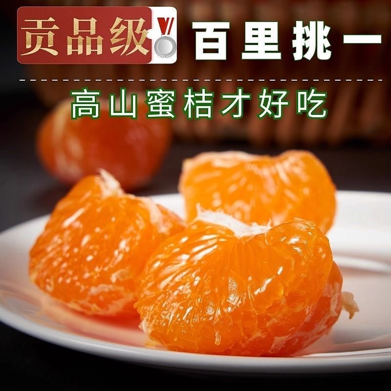 浙江柑橘