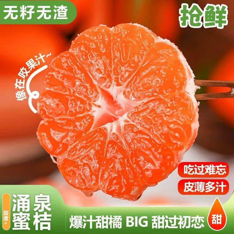 浙江柑橘