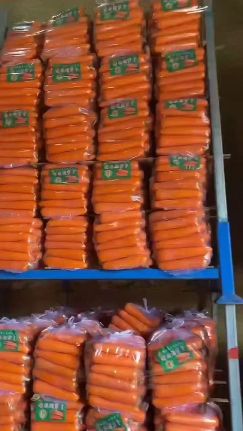 开封本地沙地三红胡萝卜大量现货，品质保证，一手货源，代发全国